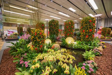 SINGAPORE - CIRCA JANUARY, 2020: Singapur Changi Uluslararası Havaalanı 'nın iç çekimleri.