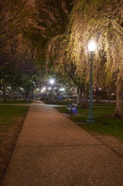 WASHINGTON D.C., ABD - CIRCA APRIL, 2011: Gece Washington D.C. sokak manzarası.