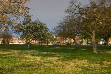WASHINGTON D.C., ABD - CIRCA APRIL, 2011: Gece Washington D.C. sokak manzarası.