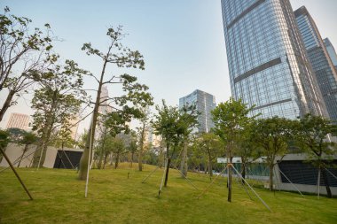 ŞENZHEN, ÇİN - 27 Kasım 2019: Shenzhen şehir manzarası.