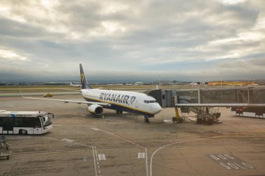 MADRID, İspanya - CIRCA JANUARY, 2020: Madrid-Barajas Havalimanı 'nda pistte Ryanair uçakları.