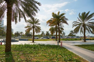 ABU DHABI, BAE - CIRCA JANUARY, 2020: Abu Dabi sokak manzarası.