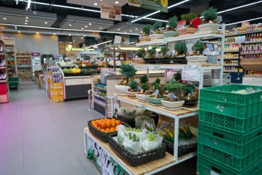PATTAYA, THAILAND - CIRCA Nisan 2023: Pattaya 'daki Foodland süpermarketinde bonsai ağaçları sergilendi.