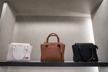 ŞARKI - NOVEMBER 05, 2023: çantalar Marina Körfezi Sands 'deki dükkanlarda Charles ve Keith mağazalarında sergileniyor.