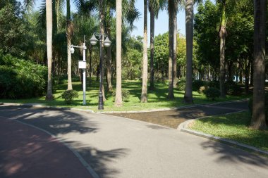 ŞENZHEN, ÇİN - 22 Kasım 2019: Shenzhen Central Park gündüz manzaralı.