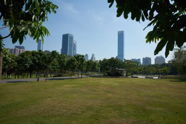 ŞENZHEN, ÇİN - 22 Kasım 2019: Shenzhen Central Park gündüz manzaralı.