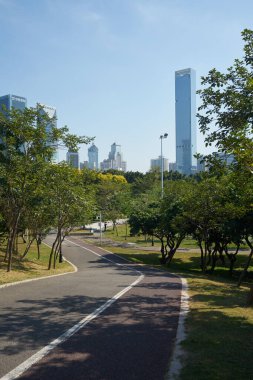 ŞENZHEN, ÇİN - 22 Kasım 2019: Shenzhen Central Park gündüz manzaralı.