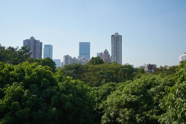 ŞENZHEN, ÇİN - 22 Kasım 2019: Shenzhen Central Park gündüz manzaralı.