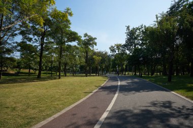 ŞENZHEN, ÇİN - 22 Kasım 2019: Shenzhen Central Park gündüz manzaralı.