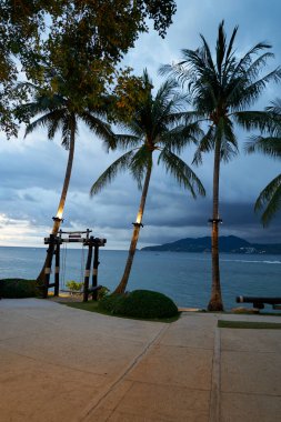 PHUKET, THAILAND - MAYIS 04, 2023: Halat salıncağı Amari Phuket 'te görüldüğü gibi.