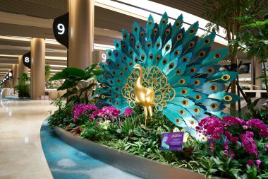 SINGAPORE - NOVEMBER 06, 2023: Singapur Changi Havalimanı 'nda Deepavali temalı tavus kuşu süslemeleri.