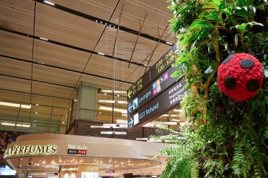SINGAPORE - NOVEMBER 07, 2023: Singapur Changi Havalimanı 'nda görüldüğü gibi dekorasyonlar, yön işaretleri ve Kozmetik ve Parfümler.