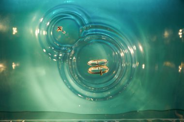 SINGAPORE - NOVEMBER 06, 2023: Singapur 'daki ION Orchard' daki Tiffany and Co mağazasında mücevherler sergilendi.