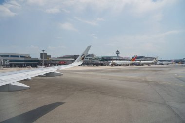 SINGAPORE - NOVEMBER 04, 2023: Singapur Changi Havalimanı.