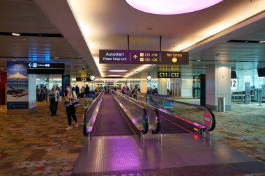 SINGAPORE - NOVEMBER 06, 2023: Singapur Changi Havaalanı içinde yürüyüş yolu.