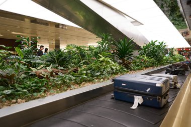 SINGAPORE - Kasım 04, 2023: bagaj teslim bölgesi Singapur Changi Havaalanı.