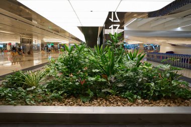 SINGAPORE - Kasım 04, 2023: bagaj teslim bölgesi Singapur Changi Havaalanı.