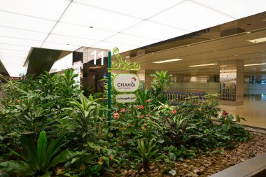 SINGAPORE - Kasım 04, 2023: bagaj teslim bölgesi Singapur Changi Havaalanı.