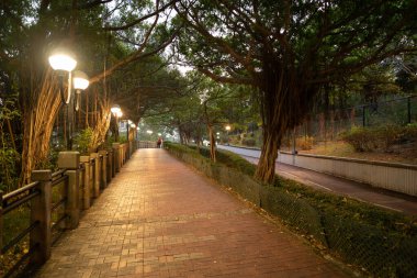 HONG KONG, ÇİN - 04 Aralık 2023: Sha Tin Park 'ta bir patika manzarası.