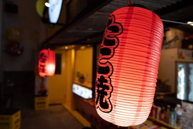 CHIANG MAI, THAILAND - 24 Ekim 2023: Chiang Mai 'deki Think Park' ta gece vakti görülen geleneksel fener görüntüsü..