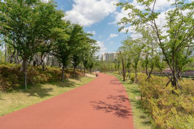 Busan, Güney Kore - 26 Mayıs 2017: Busan Vatandaşlar Parkı 'ndaki yürüyüş yolunun sokak seviyesi.