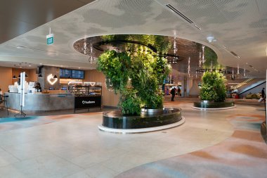 SINGAPORE - 25 AĞUSTOS 2024: Changi Uluslararası Havaalanı Terminali, Singapur