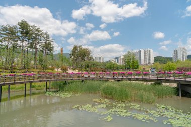 Busan, Güney Kore - 26 Mayıs 2017: Busan Vatandaş Parkı sokak manzaralı.