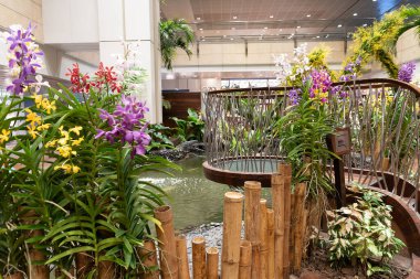 SINGAPORE - 25 AĞUSTOS 2024: küçük bir gözlem platformu merdiven ve tırabzan ile koi göleti üzerinde uzanan, Büyülü Bahçe, Changi Havalimanı 'ndaki fotoğraflar için manzaralı bir yer sunuyor.