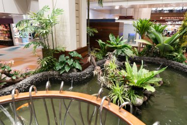 SINGAPORE - 25 AĞUSTOS 2024: Büyülü Bahçe, Changi Havalimanı 'ndaki koi havuzu üzerinde uzanan küçük bir gözlem platformu.