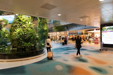 SINGAPORE - 25 AĞUSTOS 2024: Changi Uluslararası Havalimanı, Singapur 'da görülen bir bahçe, canlı yeşilliği modern terminal tasarımıyla harmanlayarak doğal ve rahatlatıcı bir atmosfer yaratıyor..