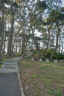 Busan, Güney Kore - 25 Mayıs 2017: Songjeong Sahili 'nin sonundaki Jukdo Parkı' nda yürüyüş yolu.