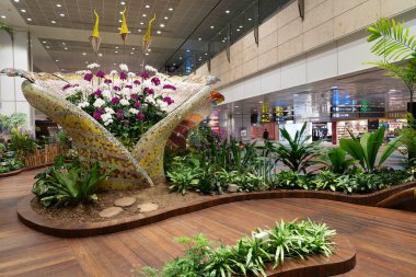 SINGAPORE - 25 AĞUSTOS 2024: Büyülü Bahçe 'de çiçekler, Changi Havalimanı, orkideler, heykel sanatı, dolambaçlı yollar, ve bir koi göleti, terminalin içinde huzurlu bir deneyim sunan.