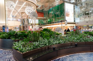 SINGAPORE - 25 AĞUSTOS 2024: Singapur, Changi Havalimanı 'ndaki Kristal Bahçe, terminaldeki sanat ve doğanın karışımını yansıtan, yeşillikle bütünleşmiş karahindiba heykelleri içerir..