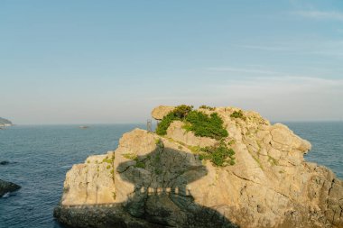 Busan, Güney Kore - 25 Mayıs 2017: Songjeong Sahili 'nin sonundaki Songiljeong Pavyonu' nun gölgesi, kayanın üzerine düştü..