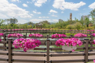 Busan, Güney Kore - 26 Mayıs 2017: Busan Vatandaşlar Parkı 'ndaki korkuluklarda görülen çiçekler