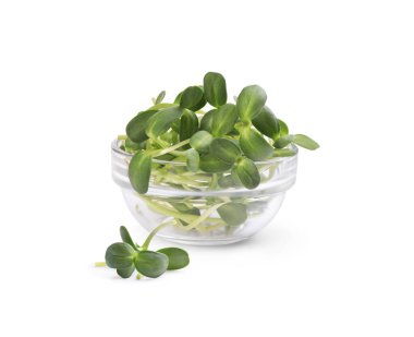 Beyaz arka planda cam bir tabakta mikroyeşil yapraklar