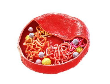 Kırmızı kan hücrelerindeki hemoglobinin yapısı. - Evet. 3d illüstrasyon