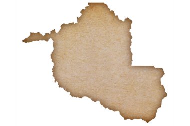 Grunge kağıdındaki Rondonia 'nın doğru ve ayrıntılı haritası