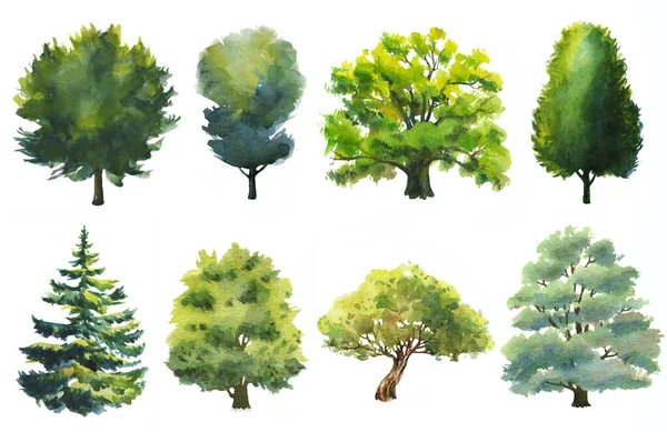 Conjunto Aquarela Árvores Desenhadas Mão Sobre Fundo Branco — Fotografia de Stock