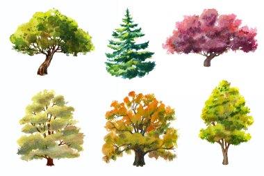 Watercolor set of various trees hand drawn and isolated on white background