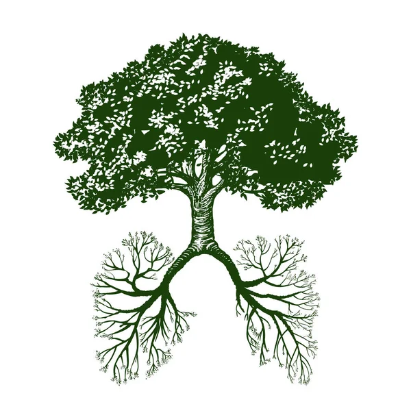 Eiche Mit Stamm Und Wurzeln Wie Menschliche Lungen Umweltschutzsymbol Vektorillustration — Stockvektor