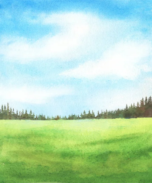草の緑地と雲がついた青空の抽象的な水彩背景 スプルースの木の手描きイラスト — ストック写真