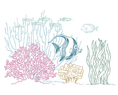 Balıklar, mercanlar, bitkiler, kırsal idol, okyanus, deniz sanatları illüstrasyonları