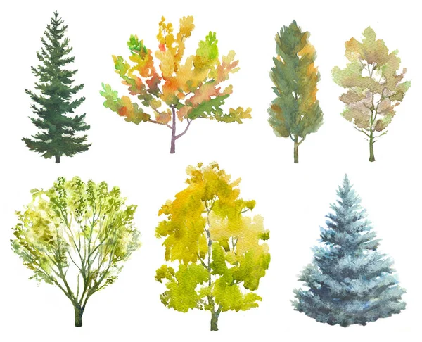 Zestaw Ręcznie Rysowane Drzewa Latem Jesienią Kolory Białym Tle — Zdjęcie stockowe