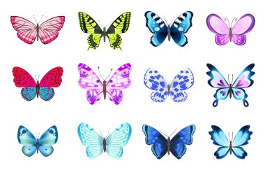 Renkli kelebek koleksiyonu. Beyaz arka planda çizgi film tarzında kelebek seti. Vektör