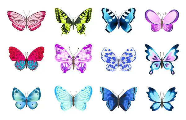Sammlung Bunter Schmetterlinge Set Von Schmetterling Cartoon Stil Auf Weißem — Stockvektor