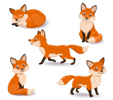  Çizgi film tilkilerinin çeşitli pozlarda, uyuyan ve kıvrılmış, ayakta, yürüyen, neşeli bakışlı iki tilki..