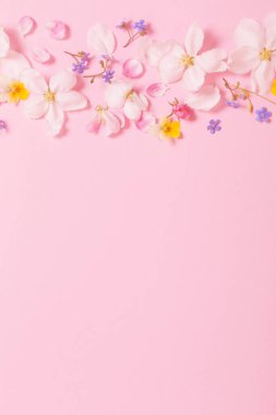 Pembe arka planda bahar çiçekleri
