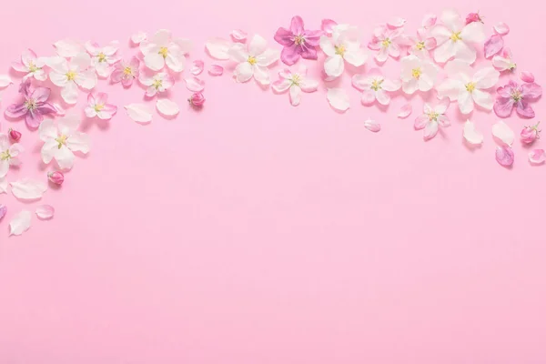 Rosa Apfelblüten Auf Rosa Hintergrund — Stockfoto