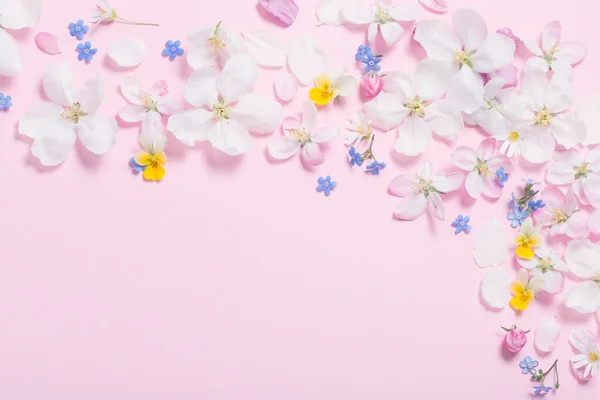 ピンクの背景に春の花 — ストック写真